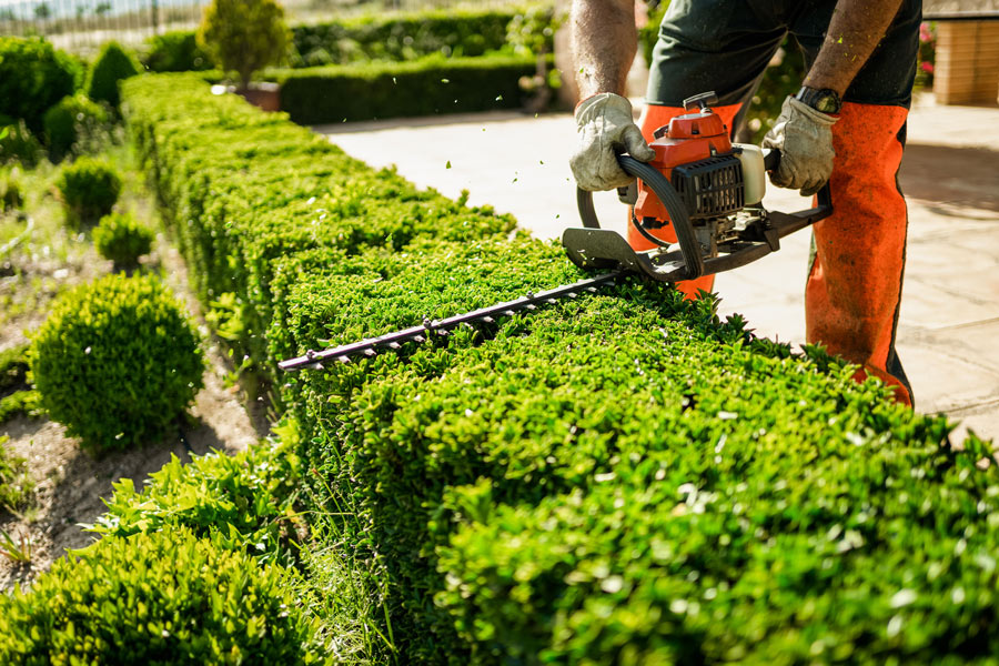 Gartenpflege und Landschaftspflege
